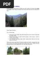 Download Bioma Taiga by Budiyanto Tirtawijaya SN36979442 doc pdf