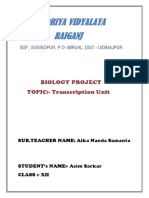 Kendriya Vidyalaya Raiganj: Biology Project TOPIC:-Transcription Unit