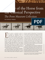 A View of The Horse From Classical Perpective