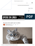 30 Cosas de Los Gatos Que No Sabías - VIX