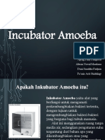 Incubator Amoeba Presentasi