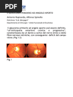 Il Glaucoma Primario Ad Angolo Aperto