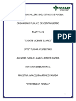 Portafolio 3 B