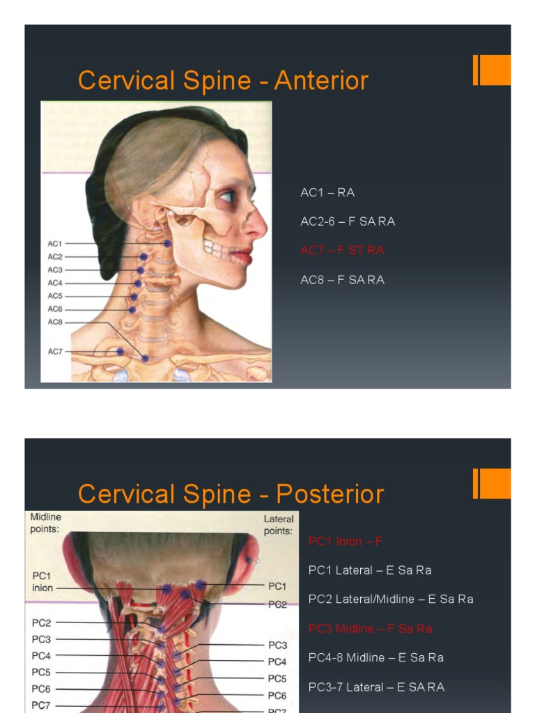 Omm Counterstrain Pdf Ankle Anatomical Terms Of Location