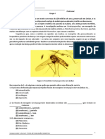 Mosquito com malária de 100 milhões de anos