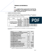 Tdr Presupuesto 2