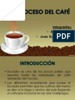 Proceso Del Café Hoy