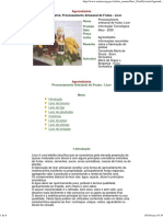 47594612-processamento-artesanal-de-frutas-licor.pdf