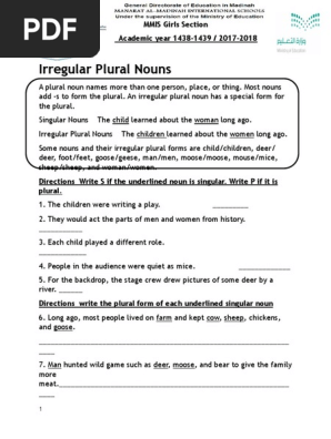 Lesson Two Three 1 Plural Grammatical Number