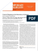 Cortical Mapping 2