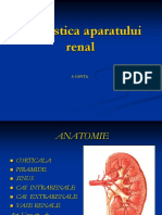 08 Imagistica aparatului renal (1).ppt