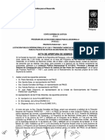 acta_apertura_1310495995466.pdf