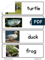 Turtle Fish Duck Frog: Pond Life Word Cards