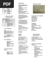 Classificações a colocar na parede