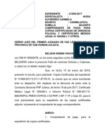 Escrito Adjunto Comprobante de Pago Nelson Ruben