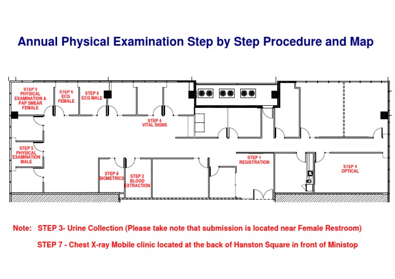 A Comprehensive Guide to the Annual Physical Examination Process From