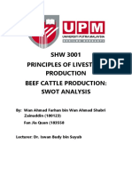 SWOT Beef Cattle