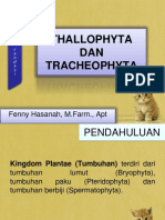 Thallophyta Dan Tracheophyta