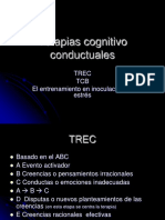 Terapias Cognitivo Conductuales II