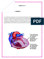 AVANCE Nº 2