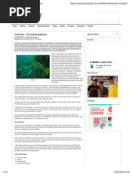 Corvina - Um peixe popular | Pescaria Brasil.pdf