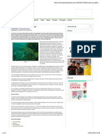 Corvina - Um peixe popular | Pescaria Brasil.pdf