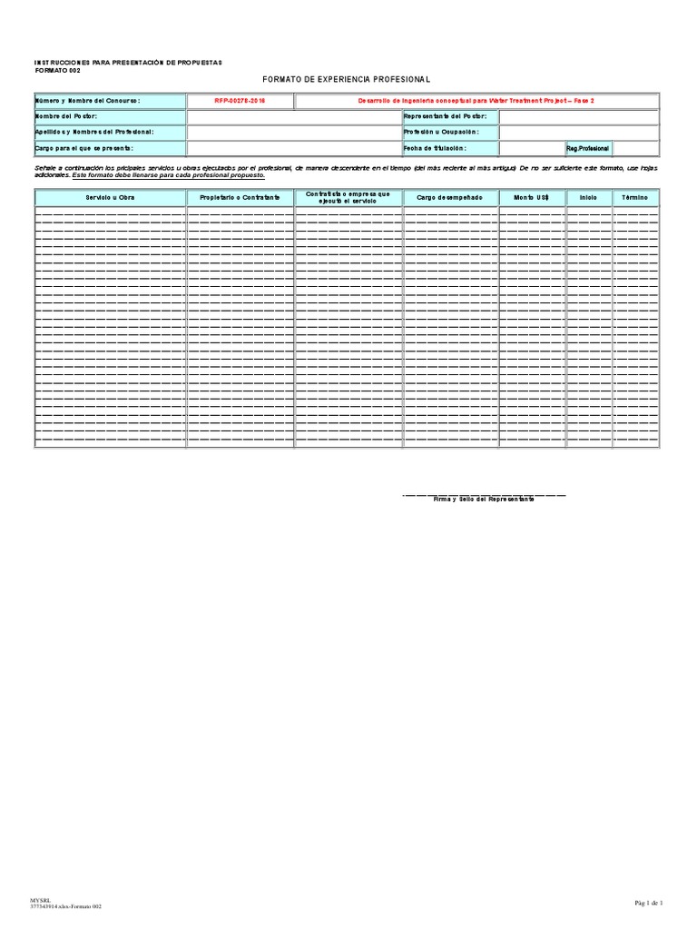 Formato 002 - Experiencia de Los Profesionales | PDF