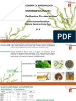 Algas. Clasificación y Diversidad