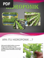 HIDROPONIK