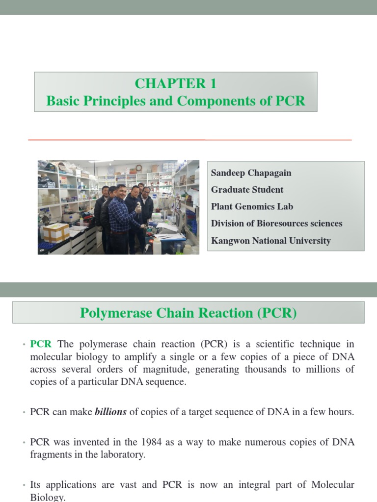 PCR Basics and Applications Guide | PDF | Polymerase Chain Reaction ...
