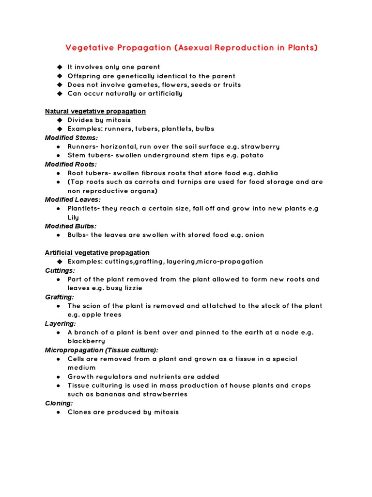 Vegetative Propagation Methods | PDF