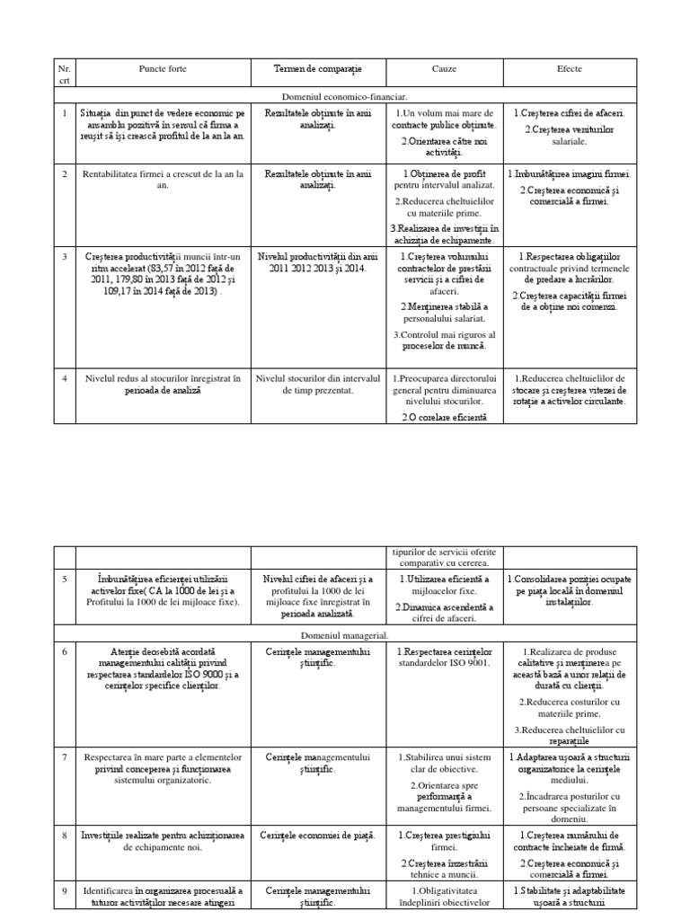 Puncte Forte | PDF