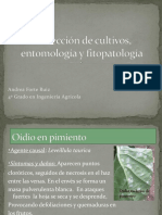 Fichas Protección de Cultivos, Entomología y Fitopatología
