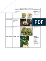 Custard Apple Species