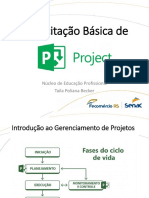 Capacitação Básica de Project