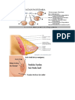 Perwatan Payudara Arif
