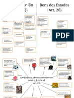 Mapas Mentais Flavia PDF