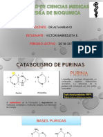 Bioquimica Purinas