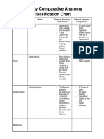 Zoology Nicolas Matthews Comparative Anatomy Classification Chart 1