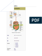 Aparato digestivo