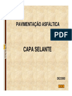 Capa Selante.pdf