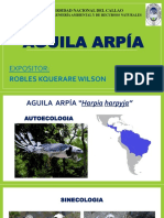 Aguila Arpía