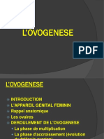 Ovogenese