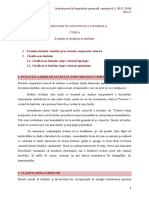 Curs 6 PDF