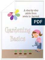 Gardening Basics: A Step-By-Step Guide From Seeds To Harvest