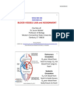 BIO 212 LAB Cat and Human BV NEW 2013 SMK HO.pdf