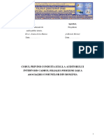 Codul de Conduita Etica A Auditorilor Interni PDF