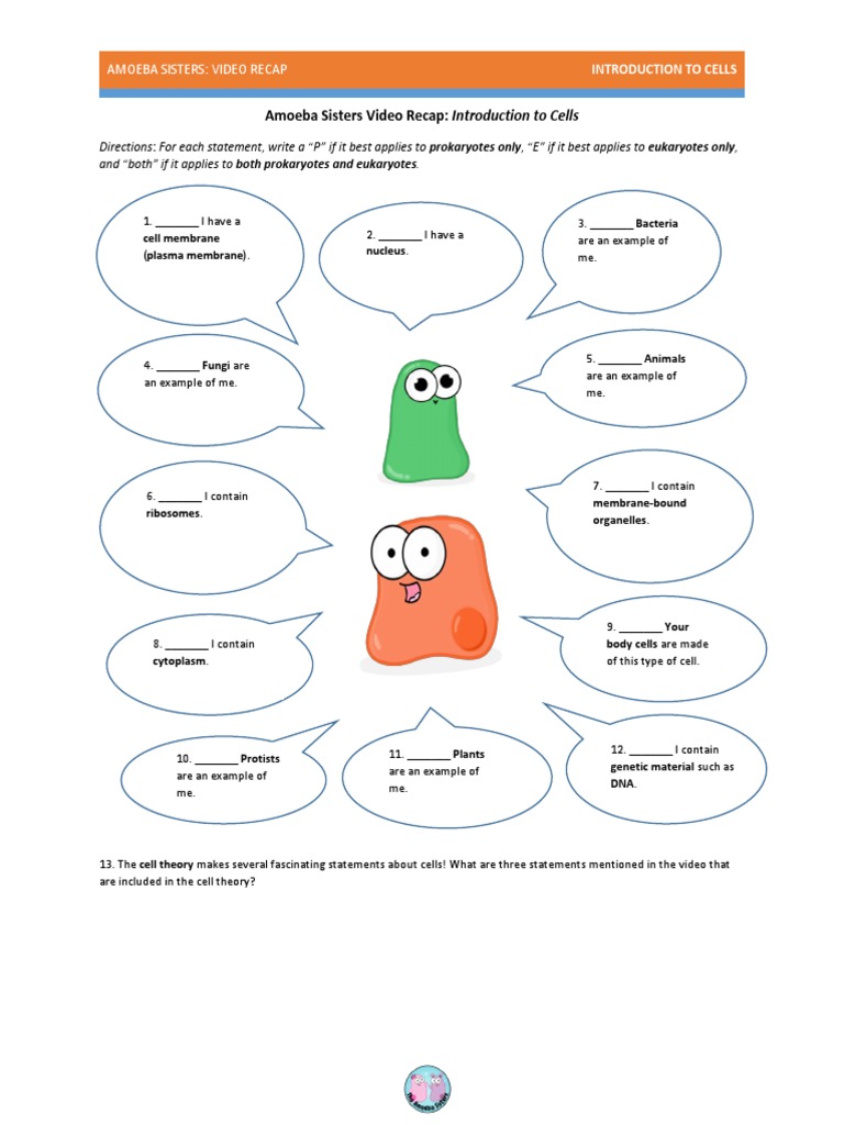 amoeba sisters intro to cells | Eukaryotes | Cell (Biology)