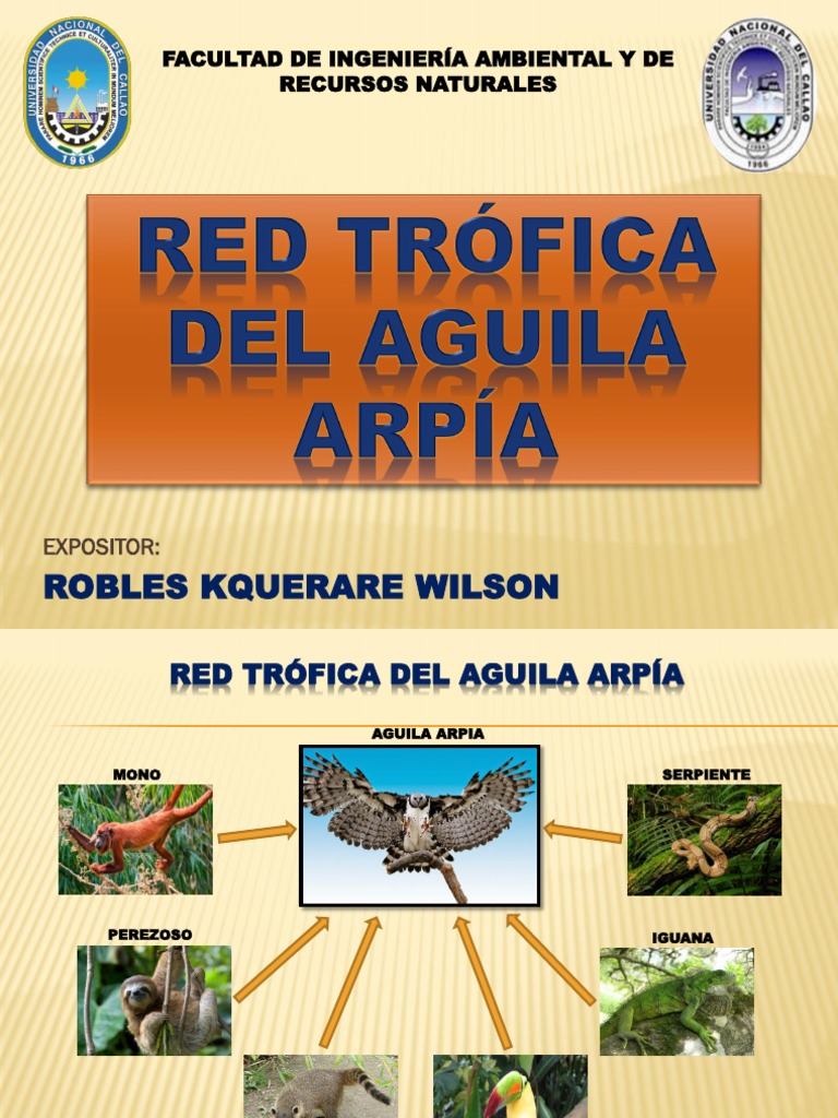 Red Tofica Del Aguila Arpia | PDF | Red alimentaria | Entorno natural