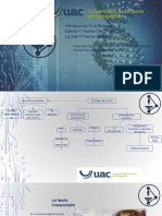 Teorias Del Origen de La Vida